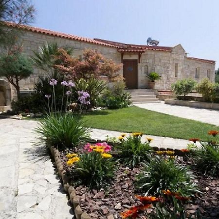 Villa Chara Chania Agia Marina エクステリア 写真